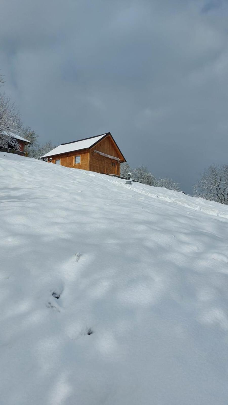 Vikendica Monte Ledinci